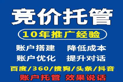 行业领先的SEM推广代运营公司案例集锦